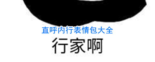 直呼内行表情包_我他妈直呼内行表情包_3dm手游