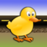 Duck Crossing手游app