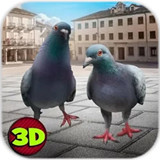 城市之鸽模拟3D手游app