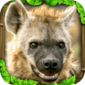 鬣狗模拟器手游app