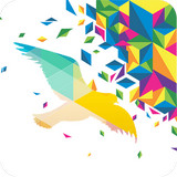 一个奇鸽手机软件app