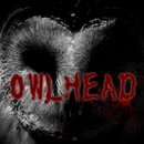 OWLHead复原 手机版手游app