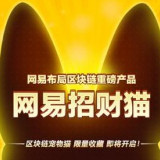 网易招财猫手机软件app