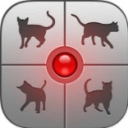 人猫交流器手机软件app