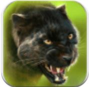 猎豹模拟器OL手游app