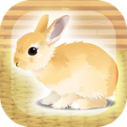 治愈兔兔养成 3DM汉化版手游app