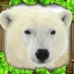 北极熊模拟器手游app