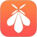 青蚨在线手机软件app