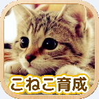 3D猫咪养成手游app