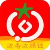 番茄看点手机软件app