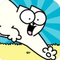 西蒙的猫冲浪手游app