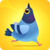 乱啄的鸽子 3DM汉化版手游app