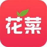 花菜手机软件app