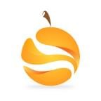 橘子淘金手机软件app