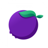 蓝莓Radio手机软件app
