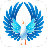 布咕鸟手机软件app