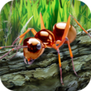 蚂蚁生存模拟器手游app