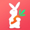 兔子优选手机软件app