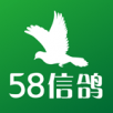 58信鸽手机软件app