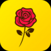 玫瑰约会手机软件app