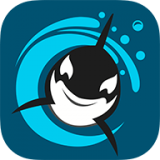 虎鲸直播手机软件app