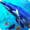 蓝鲸海洋生物模拟器手游app