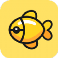 大金鱼手机软件app