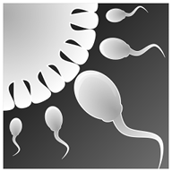 精子模拟器手游app