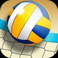 沙滩排球：世界冠军手游app