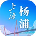 上海杨浦手机软件app