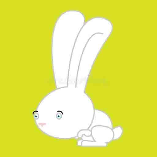兔宝日记手机软件app