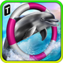 海豚比赛3D手游app