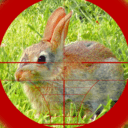 猎兔狙击手手游app