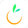 橙宝网手机软件app