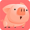 聚惠猪手机软件app