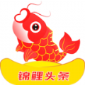 锦鲤头条手机软件app