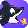 鲨鱼资讯手机软件app