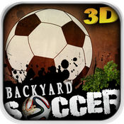 Backyard Soccer3D手游app