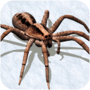 蜘蛛模拟器手游app