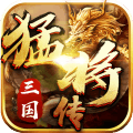 三国猛将传 九游版手游app