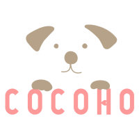 Cocoho手机软件app