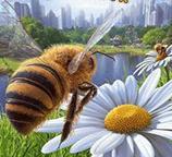 模拟蜜蜂手游app