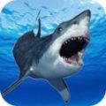鲨鱼的恐怖袭击手游app