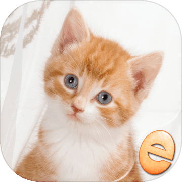 拼图神奇小猫拼图为孩子手游app