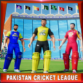 2020年巴基斯坦板球杯手游app