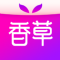 香草社交手机软件app