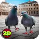 鸽子模拟器手游app