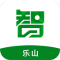 智游乐山手机软件app