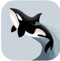 虎鲸快讯手机软件app