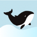 鲸心手机软件app